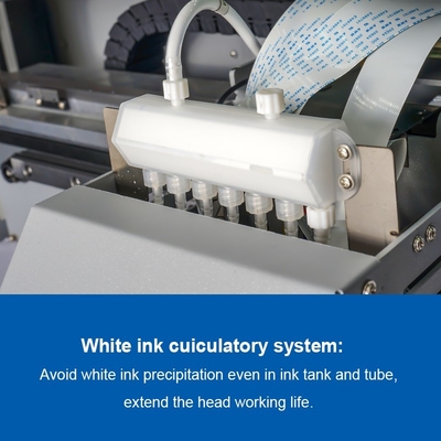 Stampa DTF a colori di 60 cm con polverizzatore e due o tre teste di stampa i1600 o i3200
